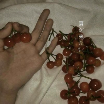 唯美的静物背景微信头像图片大全 其它头像 第7张 唯美的静物背景微信头像图片大全 其它头像 第7张