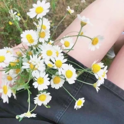 清晰的照片女生头像 女生头像 第25张 清晰的照片女生头像 女生头像 第25张