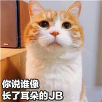 可爱猫带字头像 动物头像 第14张 可爱猫带字头像 动物头像 第14张
