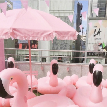 粉色系风景静物头像图片 风景头像 第9张 粉色系风景静物头像图片 风景头像 第9张