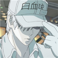 工作细胞白血球头像 其它头像 第7张 工作细胞白血球头像 其它头像 第7张