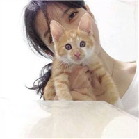 女生抱猫咪的慵懒头像 女生头像 第7张 女生抱猫咪的慵懒头像 女生头像 第7张