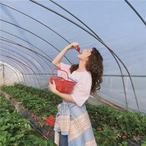 微信头像小清新女生 女生头像 第8张 微信头像小清新女生 女生头像 第8张