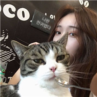 女生抱猫咪的慵懒头像 女生头像 第16张 女生抱猫咪的慵懒头像 女生头像 第16张