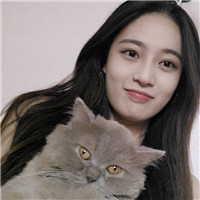 女生抱猫咪的慵懒头像 女生头像 第13张 女生抱猫咪的慵懒头像 女生头像 第13张