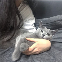 女生抱猫咪的慵懒头像 女生头像 第14张 女生抱猫咪的慵懒头像 女生头像 第14张