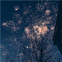 微信头像烟花 其它头像 第17张