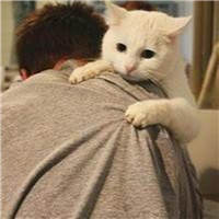 抱猫不露脸男生头像 男生头像 第11张 抱猫不露脸男生头像 男生头像 第11张