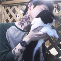 抱猫不露脸男生头像 男生头像 第3张 抱猫不露脸男生头像 男生头像 第3张