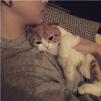 抱猫不露脸男生头像 男生头像 第13张 抱猫不露脸男生头像 男生头像 第13张