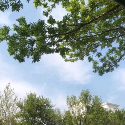 美好憧憬的头像图片大全 其它头像 第26张