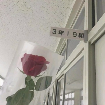美好憧憬的头像图片大全 其它头像 第5张