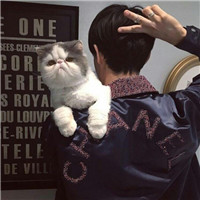 抱猫不露脸男生头像 男生头像 第7张 抱猫不露脸男生头像 男生头像 第7张