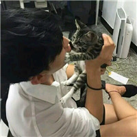 抱猫不露脸男生头像 男生头像 第5张 抱猫不露脸男生头像 男生头像 第5张