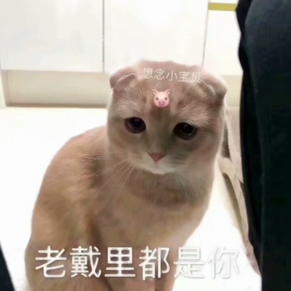 超沙雕头像抖音 其它头像 第10张 超沙雕头像抖音 其它头像 第10张