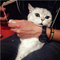 抱猫不露脸男生头像 男生头像 第12张 抱猫不露脸男生头像 男生头像 第12张