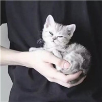抱猫不露脸男生头像