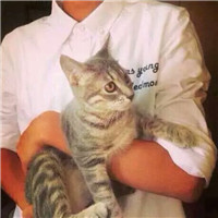 抱猫不露脸男生头像 男生头像 第14张 抱猫不露脸男生头像 男生头像 第14张