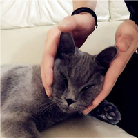 抱猫不露脸男生头像 男生头像 第15张 抱猫不露脸男生头像 男生头像 第15张
