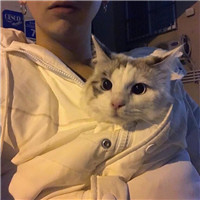 抱猫不露脸男生头像 男生头像 第2张 抱猫不露脸男生头像 男生头像 第2张