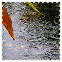 雨滴头像大全唯美 其它头像 第31张 雨滴头像大全唯美 其它头像 第31张
