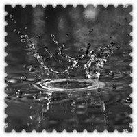 雨滴头像大全唯美 其它头像 第9张 雨滴头像大全唯美 其它头像 第9张