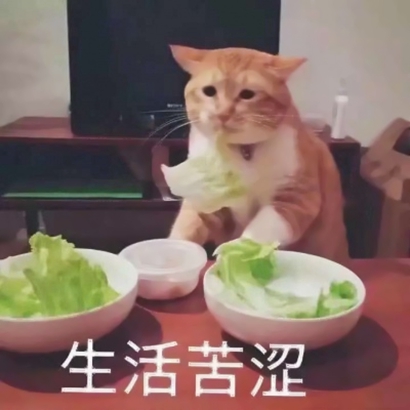 网络搞笑沙雕头像 其它头像 第8张 网络搞笑沙雕头像 其它头像 第8张