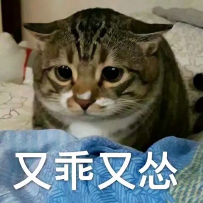 网络搞笑沙雕头像 其它头像 第7张 网络搞笑沙雕头像 其它头像 第7张