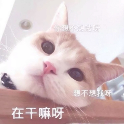 网络搞笑沙雕头像 其它头像 第2张 网络搞笑沙雕头像 其它头像 第2张