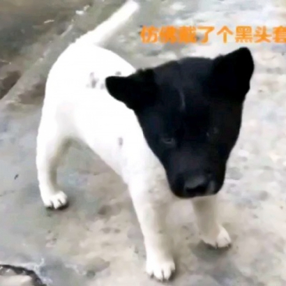 搞怪的情侣头像一对两张 情侣头像 第2张 搞怪的情侣头像一对两张 情侣头像 第2张