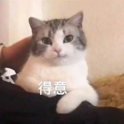 网络搞笑沙雕头像 其它头像 第9张 网络搞笑沙雕头像 其它头像 第9张
