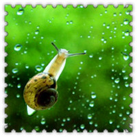 雨滴头像大全唯美 其它头像 第49张 雨滴头像大全唯美 其它头像 第49张