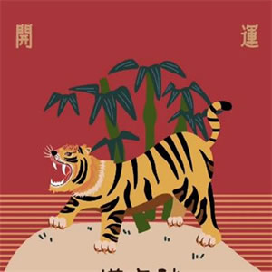 2025最旺微信头像推荐，开启全新的好运之旅 其它头像 第2张