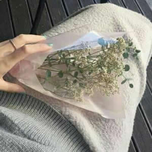 被这组静物高清头像美哭😭简约清新又唯美 其它头像 第6张