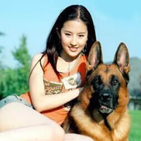 被刘亦菲头像美晕啦 其它头像 第47张 被刘亦菲头像美晕啦 其它头像 第47张