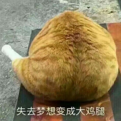 甜酷必看!100组沙雕可爱情侣头像来袭 情侣头像 第381张 甜酷必看!100组沙雕可爱情侣头像来袭 情侣头像 第381张