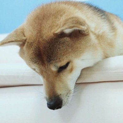 甜酷必看!100组沙雕可爱情侣头像来袭 情侣头像 第7张 甜酷必看!100组沙雕可爱情侣头像来袭 情侣头像 第7张