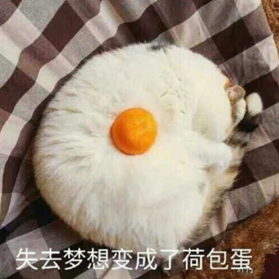 甜酷必看!100组沙雕可爱情侣头像来袭 情侣头像 第382张 甜酷必看!100组沙雕可爱情侣头像来袭 情侣头像 第382张