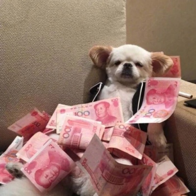 甜酷必看!100组沙雕可爱情侣头像来袭 情侣头像 第21张 甜酷必看!100组沙雕可爱情侣头像来袭 情侣头像 第21张