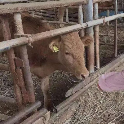 甜酷必看!100组沙雕可爱情侣头像来袭 情侣头像 第204张 甜酷必看!100组沙雕可爱情侣头像来袭 情侣头像 第204张