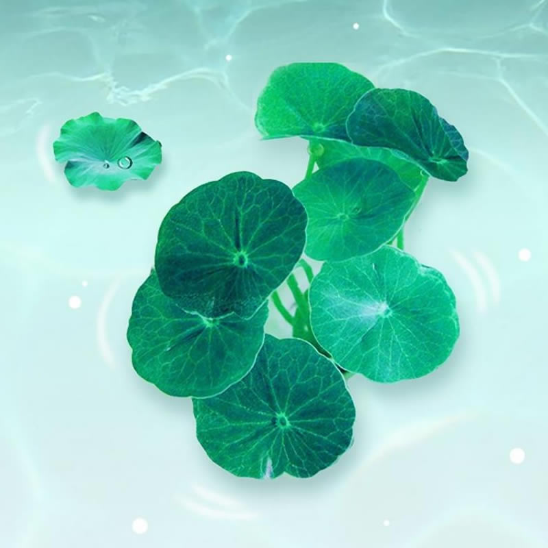超绝！适合永远不换的头像图片大集合 其它头像 第2张