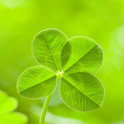 超绝！适合永远不换的头像图片大集合 其它头像 第48张