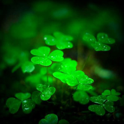 超绝！适合永远不换的头像图片大集合 其它头像 第44张