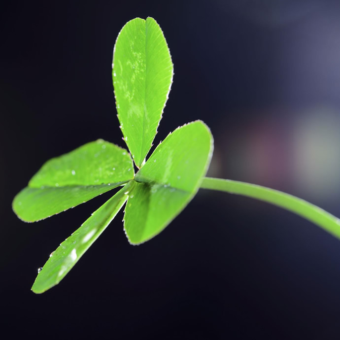 超绝！适合永远不换的头像图片大集合 其它头像 第46张