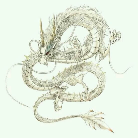 超酷的龙头像来袭 其它头像 第12张