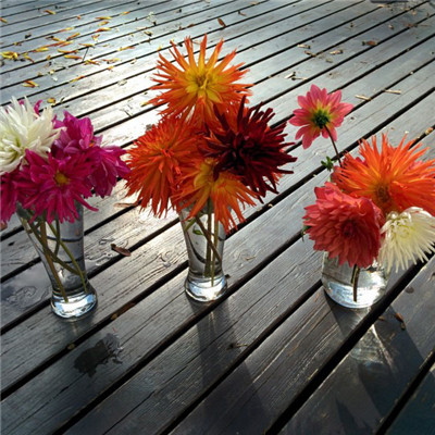 女人最旺财的微信头像推荐,女人必看! 女生头像 第56张 女人最旺财的微信头像推荐,女人必看! 女生头像 第56张