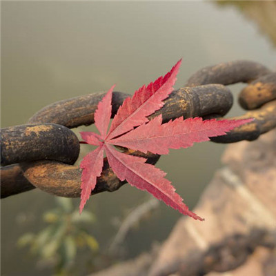 秋天绝美风景微信头像来袭,好看到能永久珍藏! 风景头像 第8张 秋天绝美风景微信头像来袭,好看到能永久珍藏! 风景头像 第8张