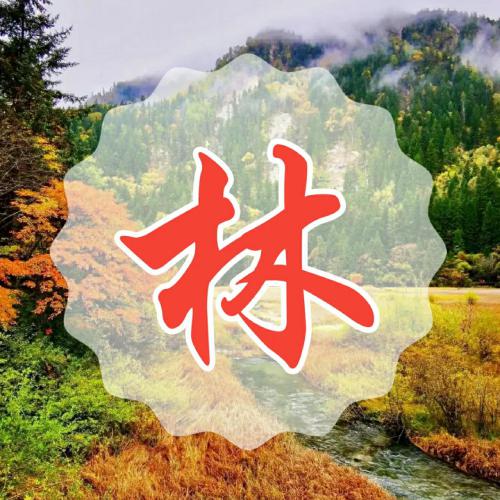 超赞的常用姓氏微信头像 其它头像 第15张 超赞的常用姓氏微信头像 其它头像 第15张