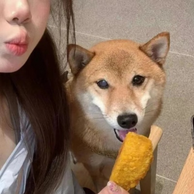 挖到宝啦!小众独特对象不是人系列情头 情侣头像 第2张 挖到宝啦!小众独特对象不是人系列情头 情侣头像 第2张