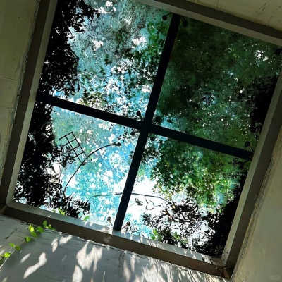 被唯美风景静物随拍头像美到了 风景头像 第6张
